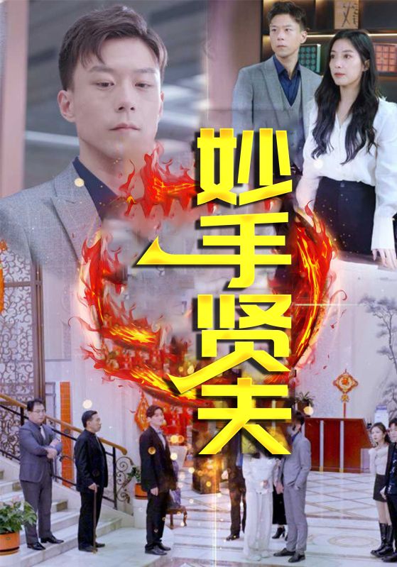医婿当道/极品医婿归来