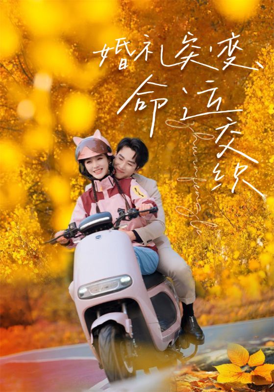 婚礼突变，命运交织