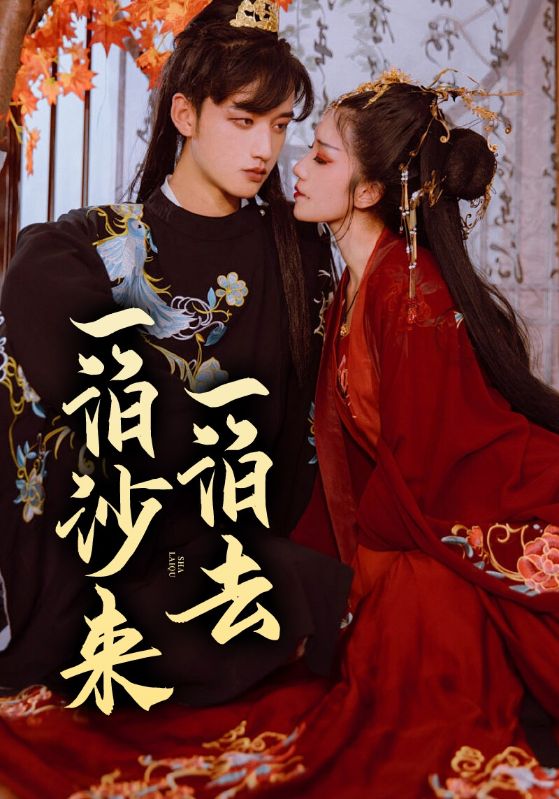 嫡女归来：太子妃重生复仇记