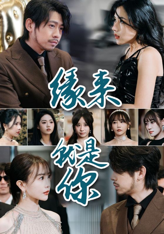 刚离婚，五个女神未婚妻倒追我