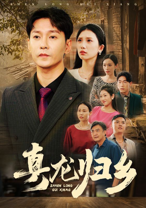 豪婿归乡