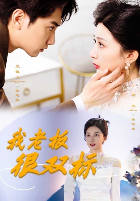 我的双标大佬/我的双标霸总