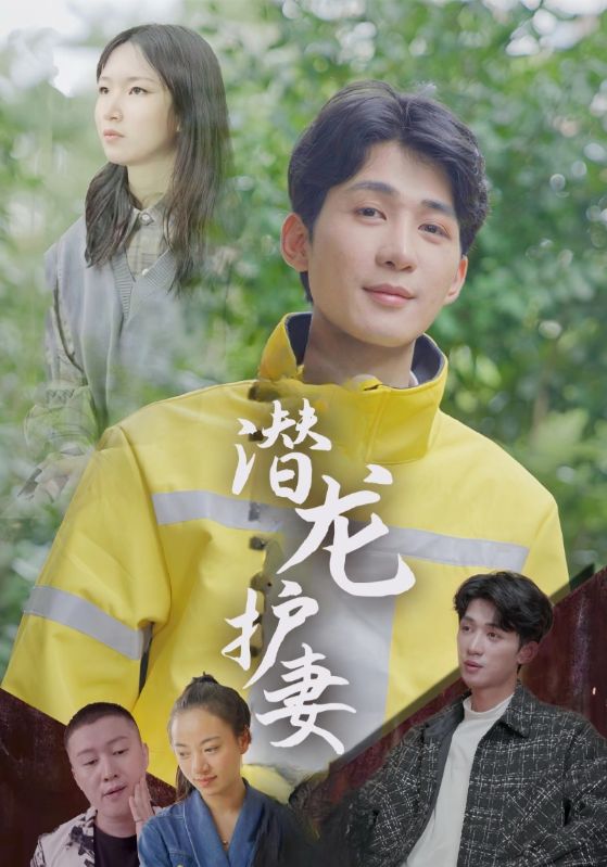 最强护妻神婿
