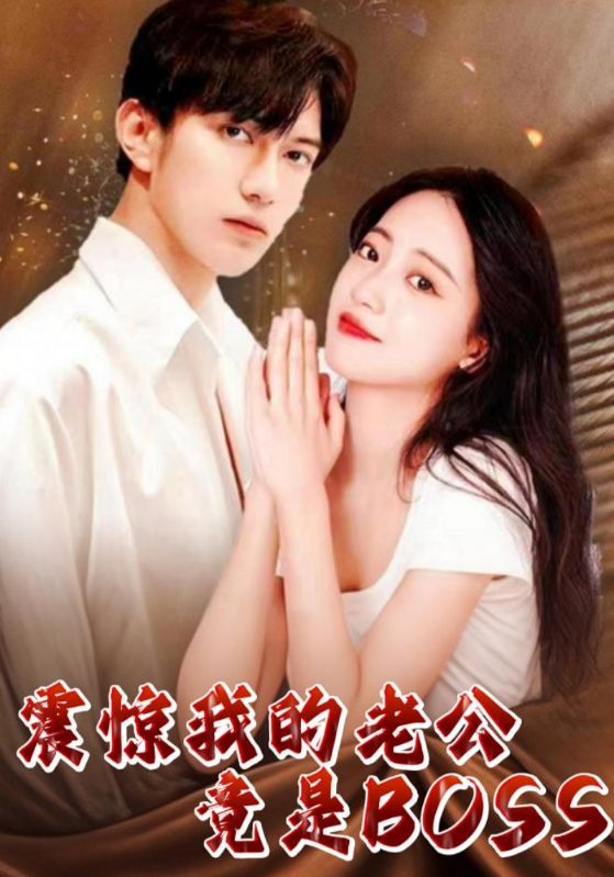 震惊我的赘婿老公竟是帝豪老板/震惊我的帝豪老公竟是赘婿