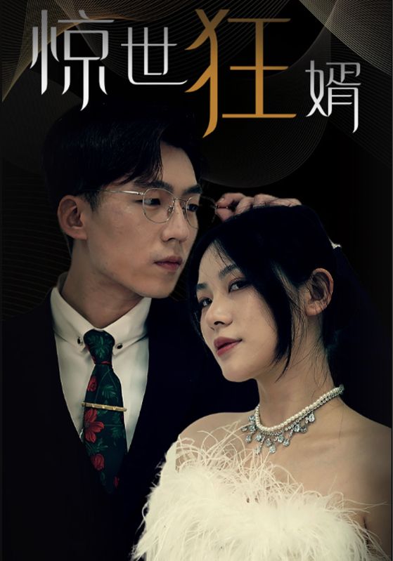 惊世狂婿