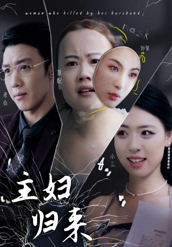 主妇归来