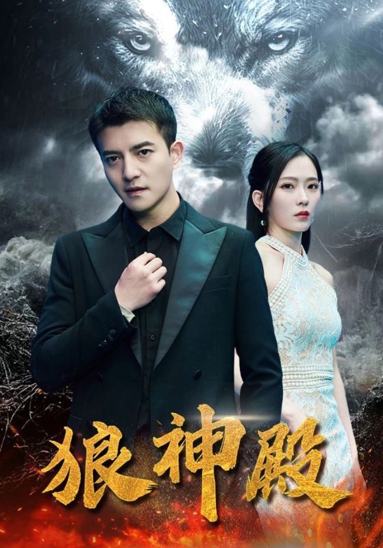 少帅的传奇