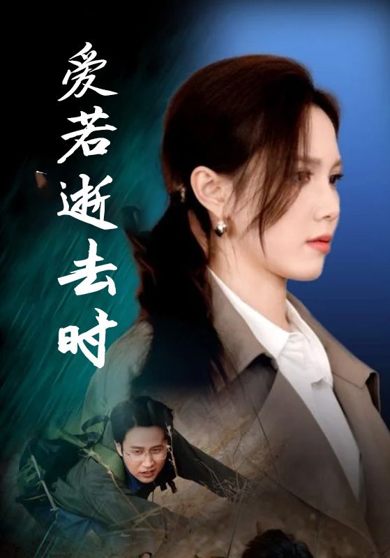 爱若逝去时