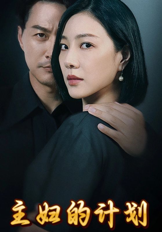 主妇的计划