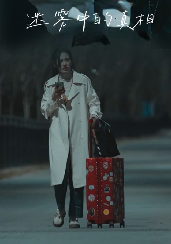 迷雾中的真相