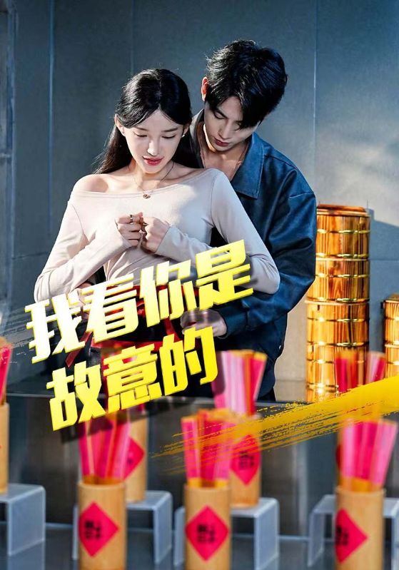 我看你是故意的封面图