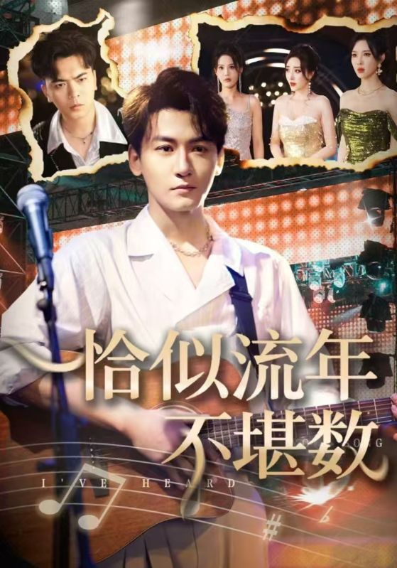 恰似流年不堪数