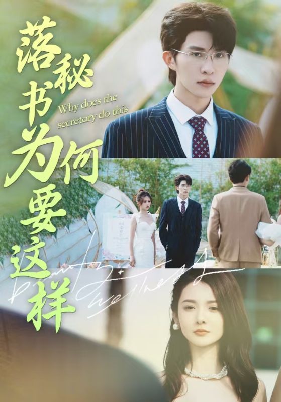 落秘书为何要这样