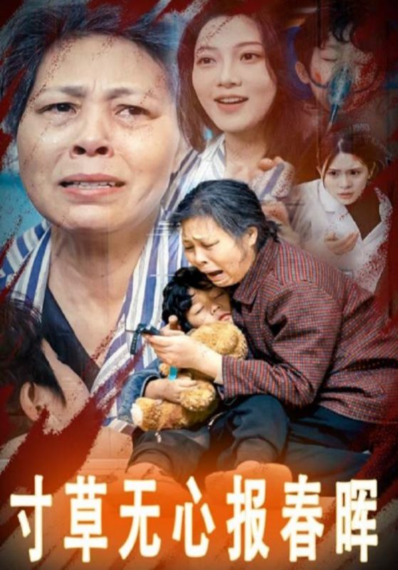 寸草无心报春晖