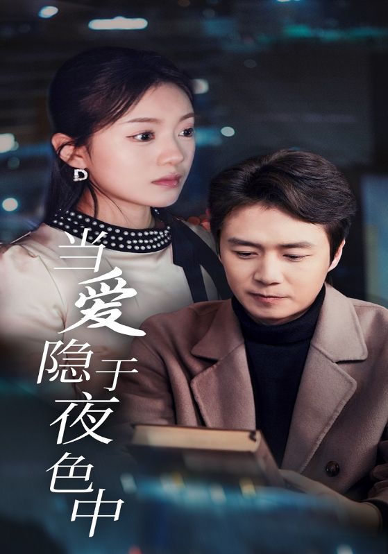 当爱隐于夜色中封面图