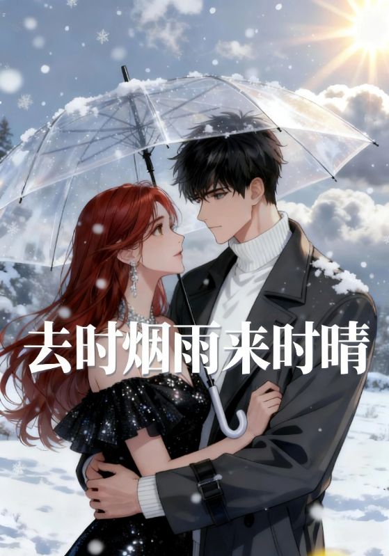 去时烟雨来时晴封面图