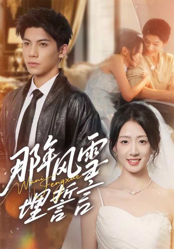 那年风雪埋誓言封面图