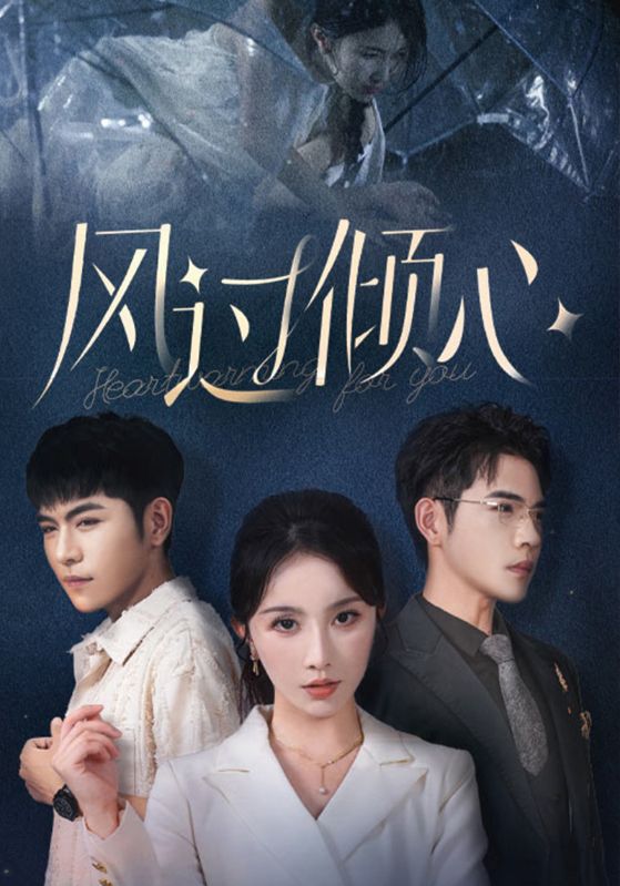 风过倾心封面图