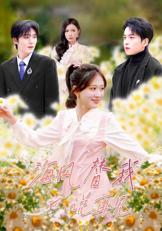 海风替我说再见封面图