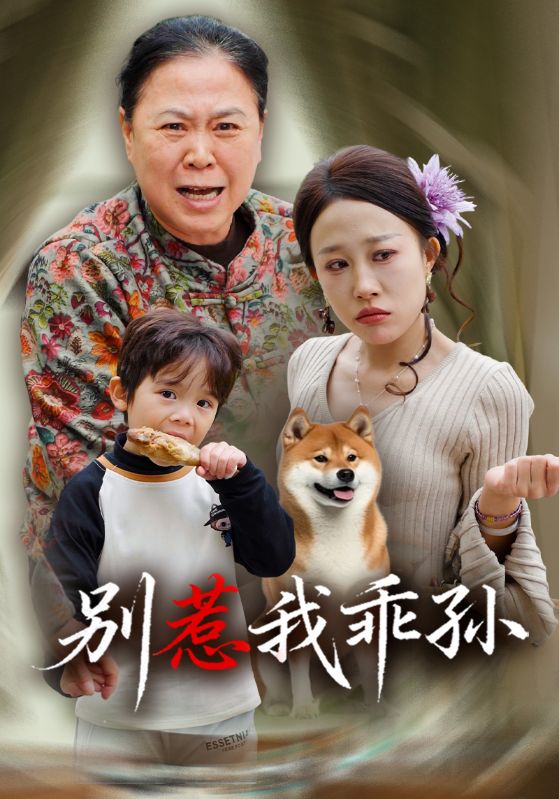 别惹我乖孙封面图