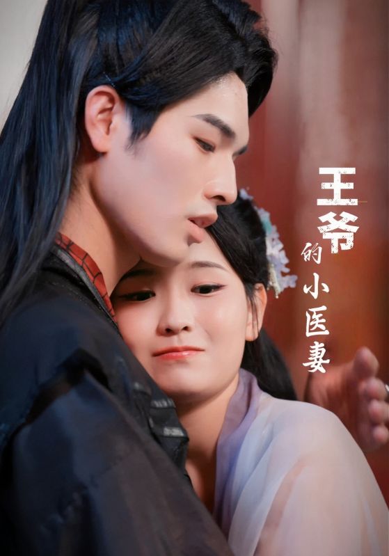 王爷的小医妻