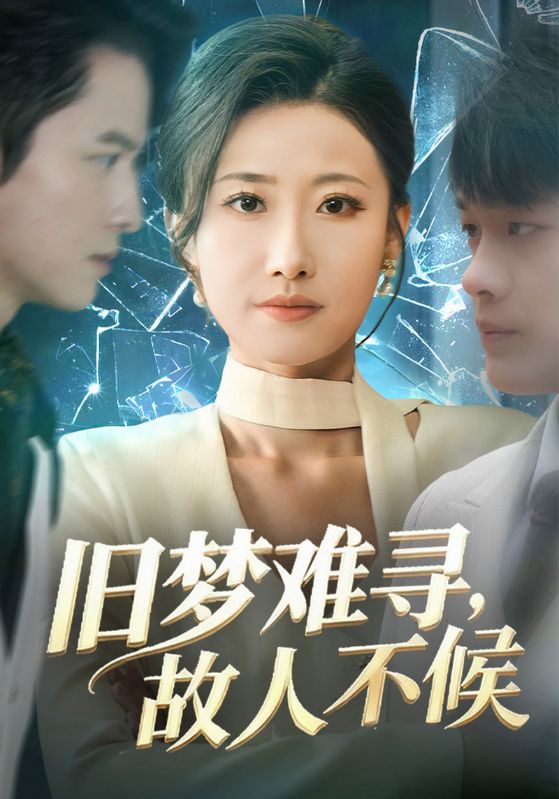 旧梦难寻故人不候封面图