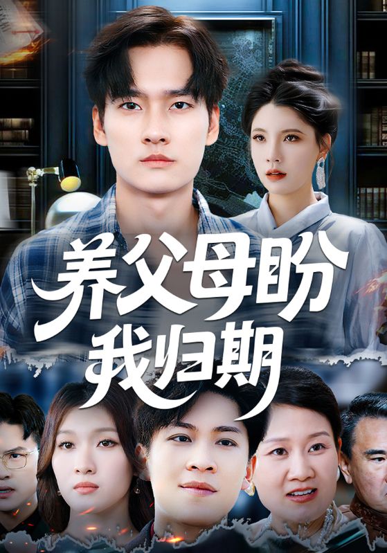 养父母盼我归期封面图