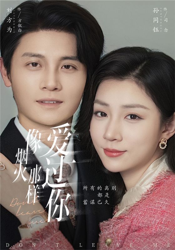 像烟火那样爱过你封面图