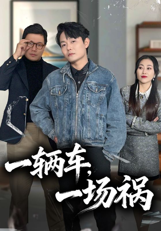 一辆车一场祸封面图