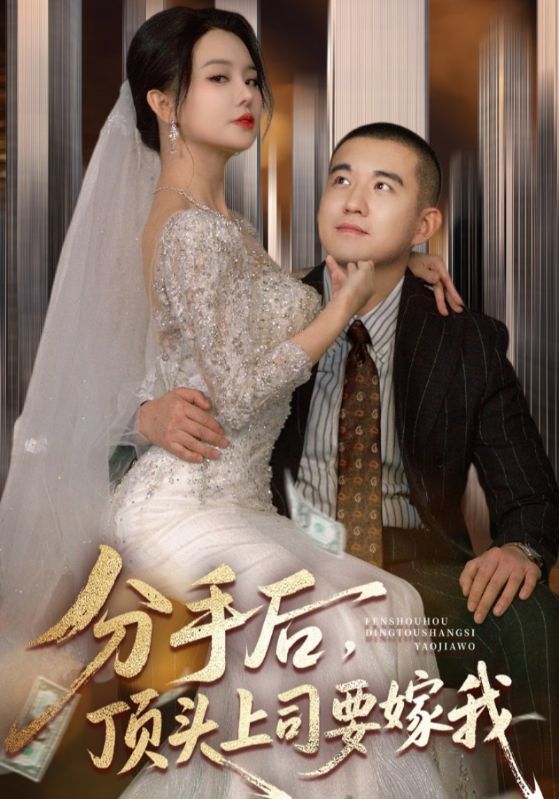 分手后，顶头上司要嫁我封面图